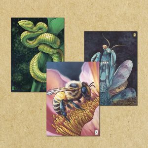 Набор открыток почтовых "Животные"